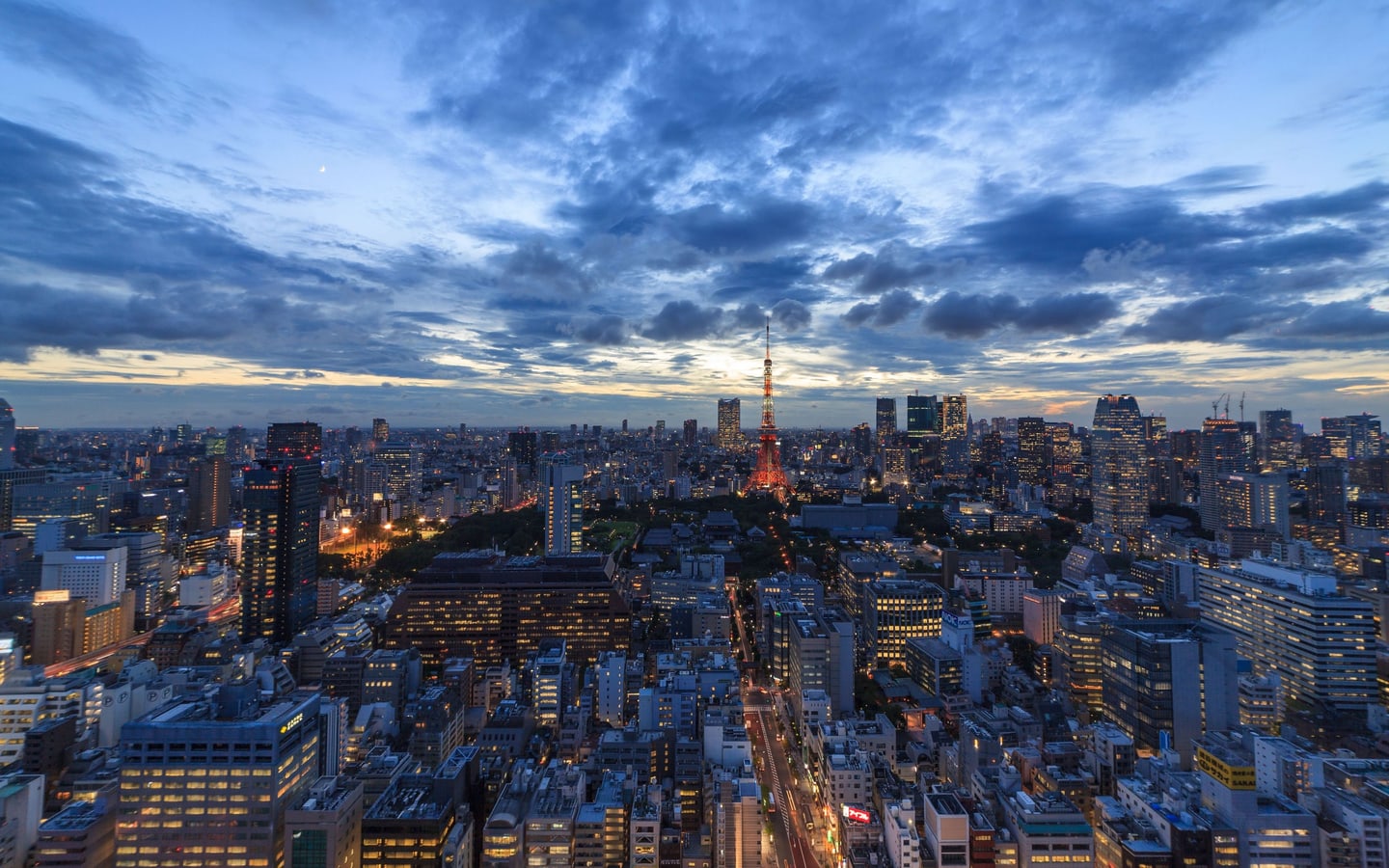 Tokyo skyline and Tokyo Tower at twilight — illustrative photograph