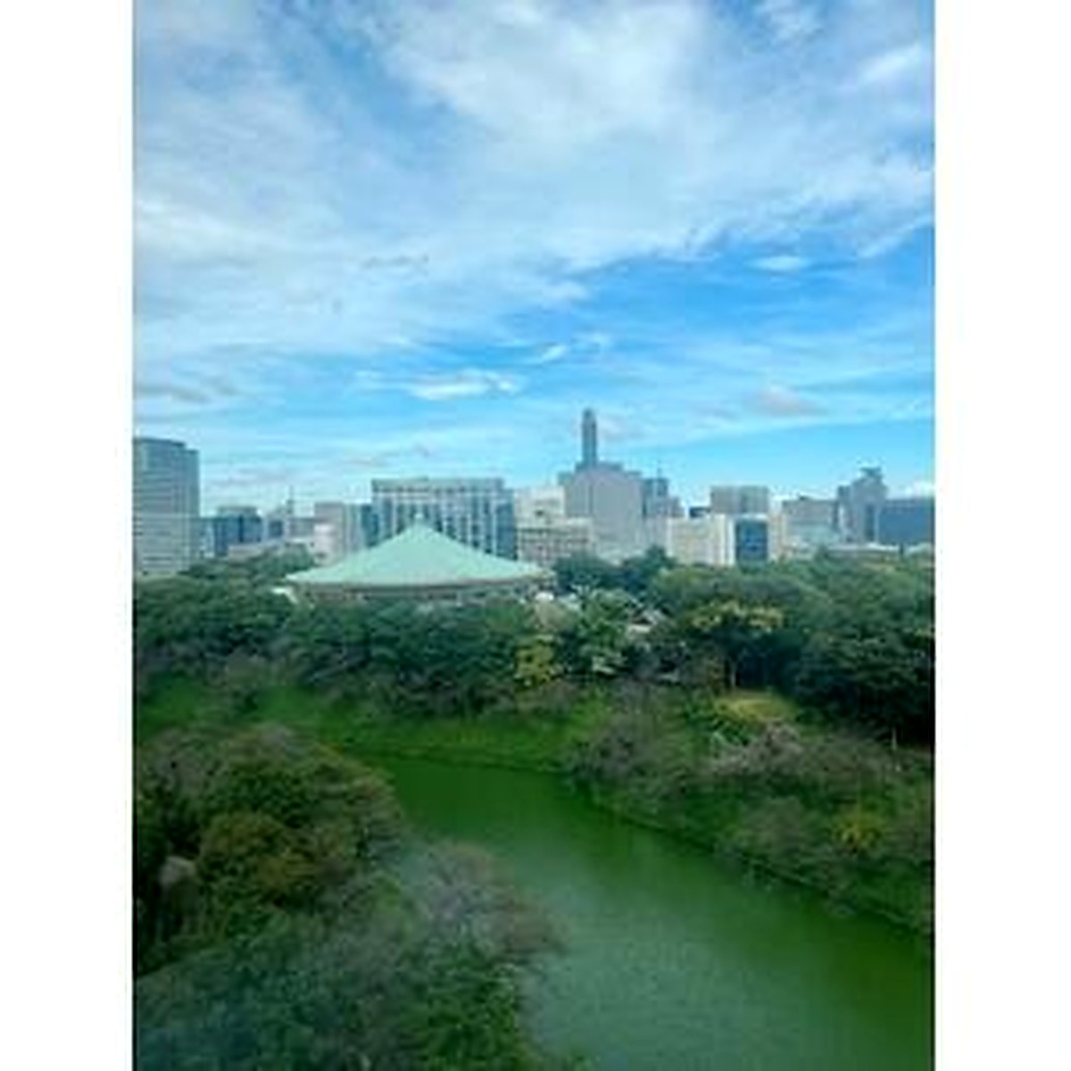 Park Mansion Chidorigafuchi — 146m²