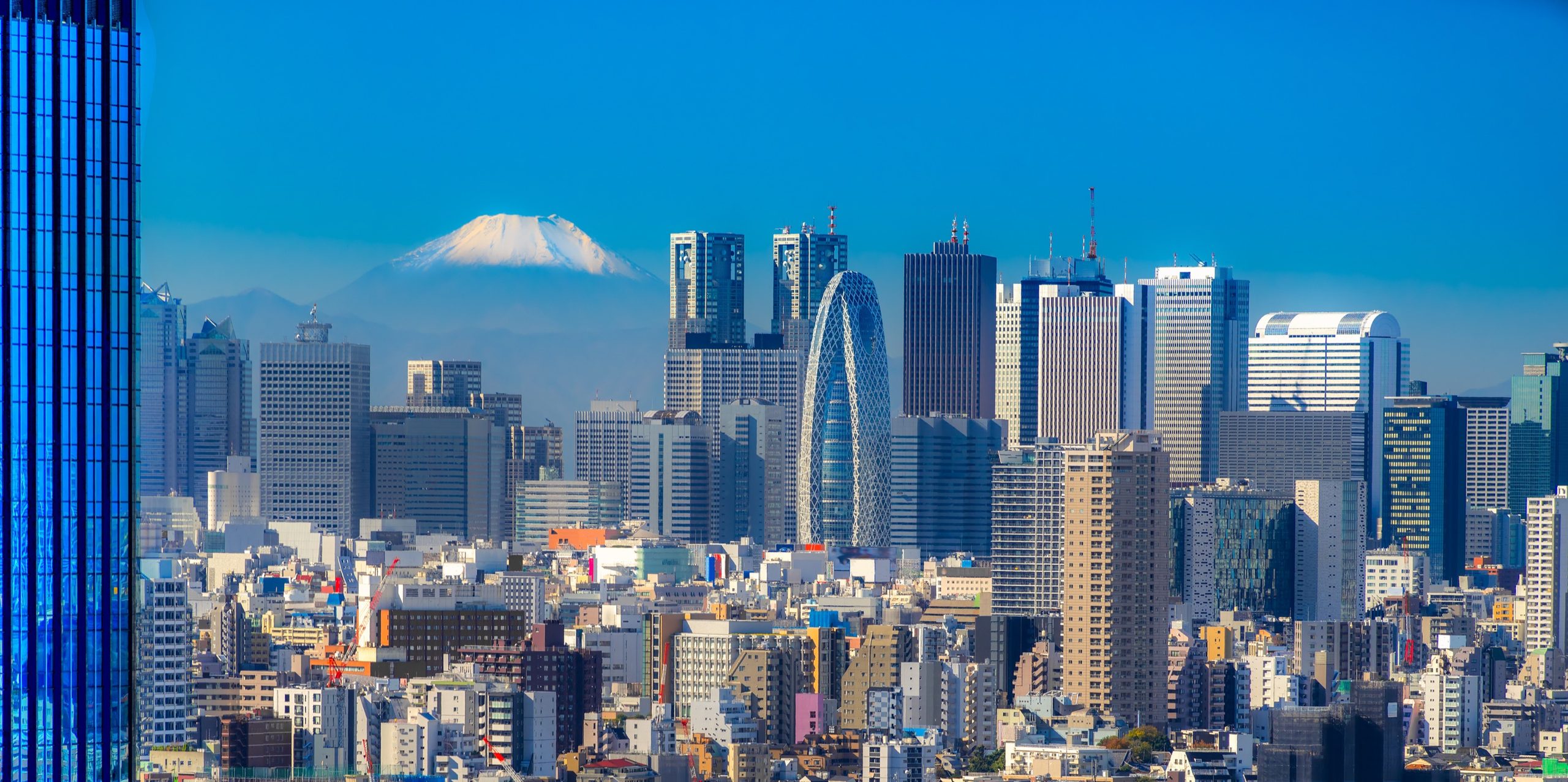 Tokyo skyline with Mount Fuji for family office Japan context